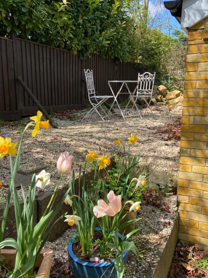 Swallow Cottage Castle Cary Buitenkant foto